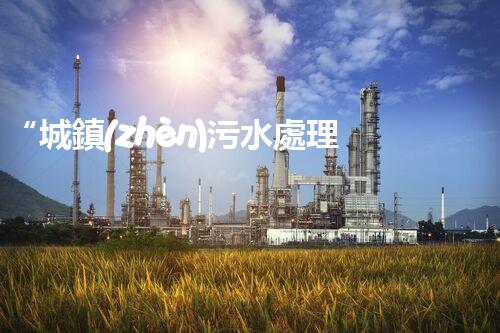 “城鎮(zhèn)污水處理行業(yè)：綠色守護(hù)者，清潔家園的守護(hù)神”